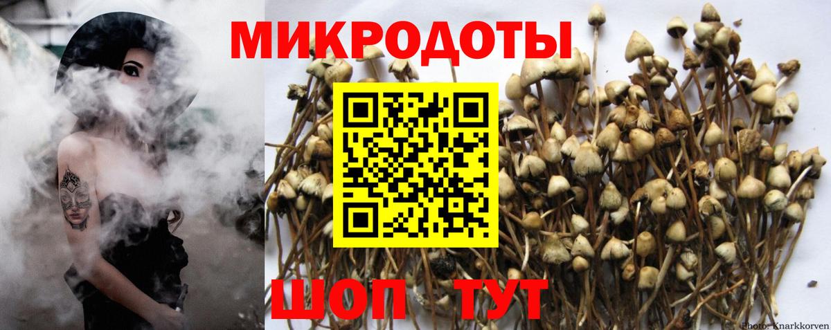 Псилоцибиновые грибы GOLDEN TEACHER  Псилоцибиновые грибы Cubensis  Вход с VPN  Лесозаводск 